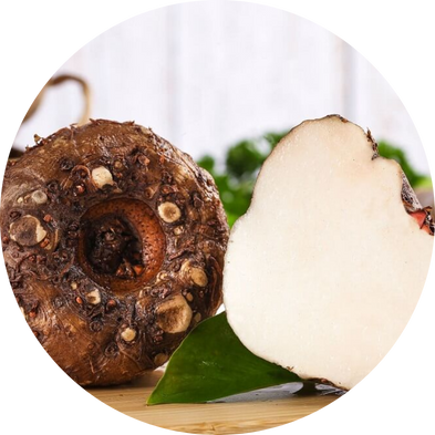 Konjac Root