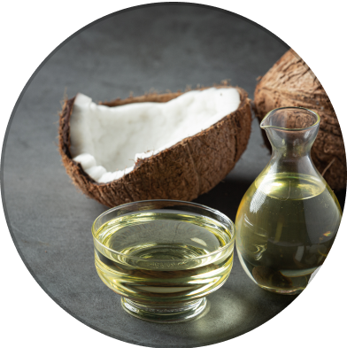Coconut Oil Powder