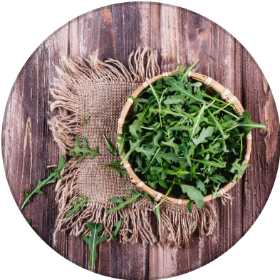 Stevia Leaf